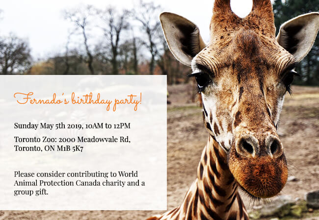 Unique kids party invitations with built-in charity support