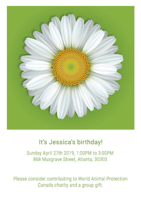 Colorful birthday invitation design for kids with donation feature