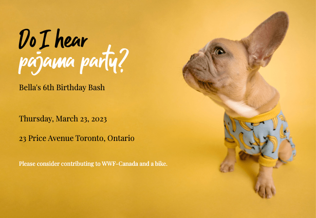 Custom kids party invites with charity integration