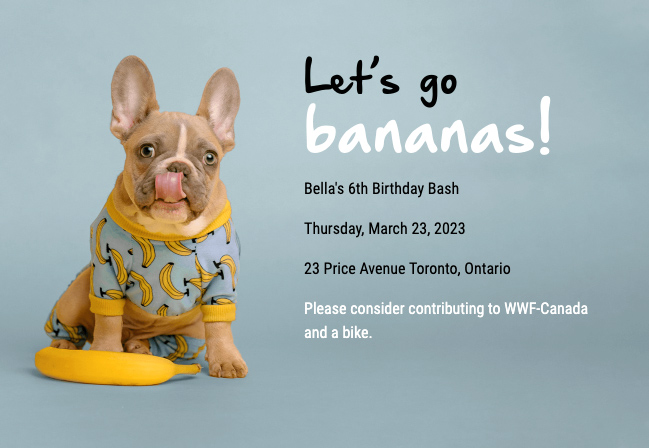 Personalized kids party invitations that support charities